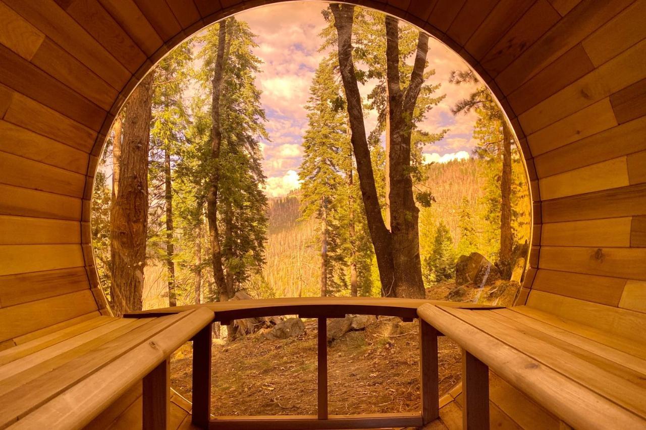 Yosemite West Family Chalet Екстериор снимка